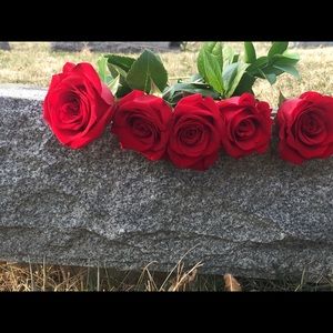 Meet your Posher, Madelynn